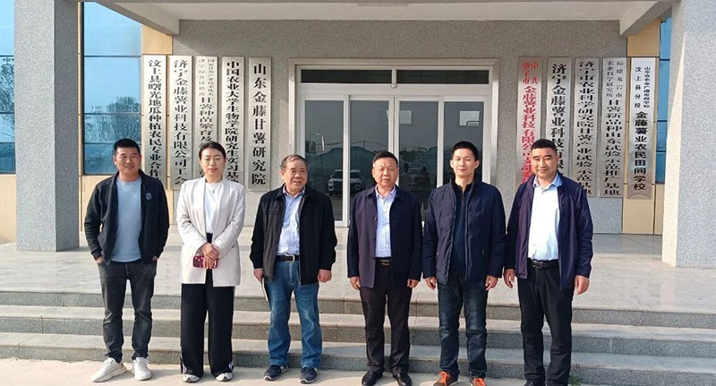 甘薯專委會組織甘薯苗期調(diào)研，制定苗期管理意見