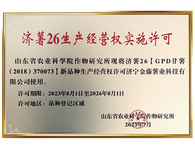 濟(jì)薯26生產(chǎn)經(jīng)營權(quán)實(shí)施許可
